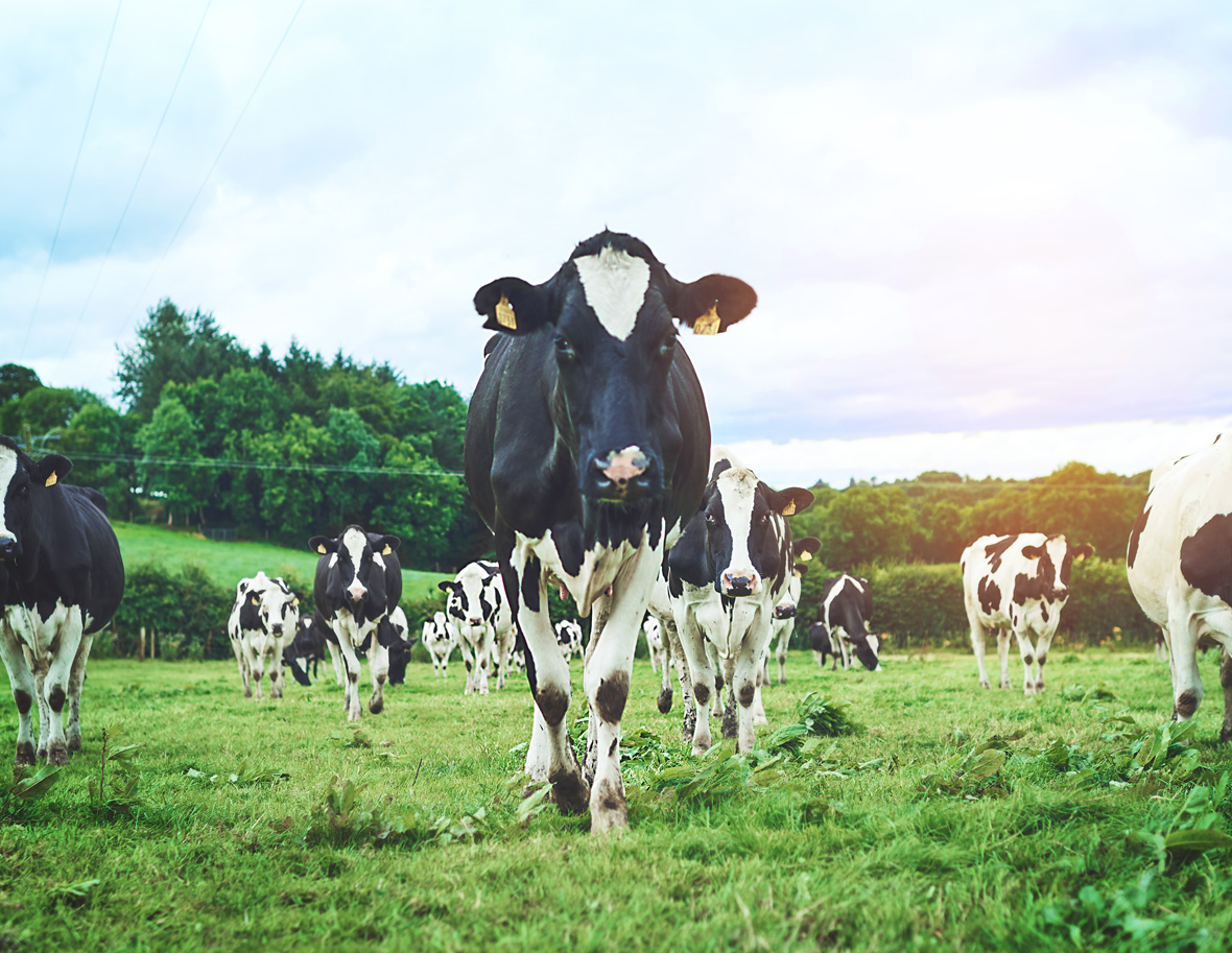 agri